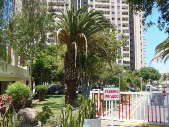 Golden Dreams & Perfect For You ***** Costa Adeje  Exteriör bild